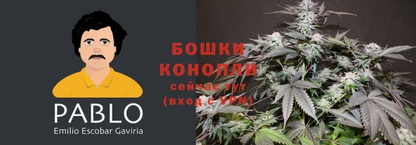 2c-b Алзамай