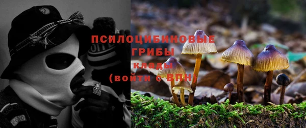 Альфа ПВП Осташков