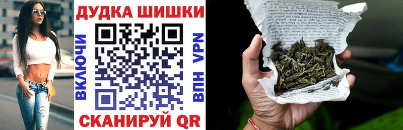 МАРИХУАНА ГИДРОПОН  mega   Кирс 